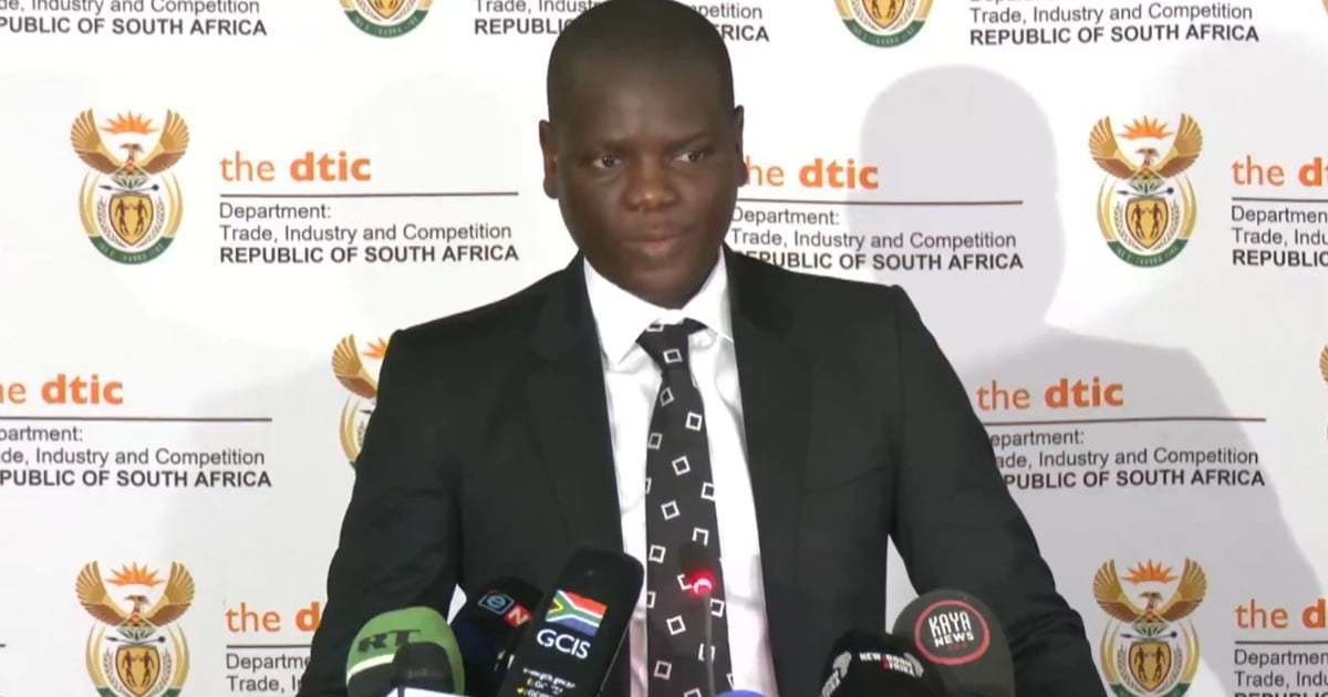Lamola raises concern over 'unilateral' US visa restrictions on SA