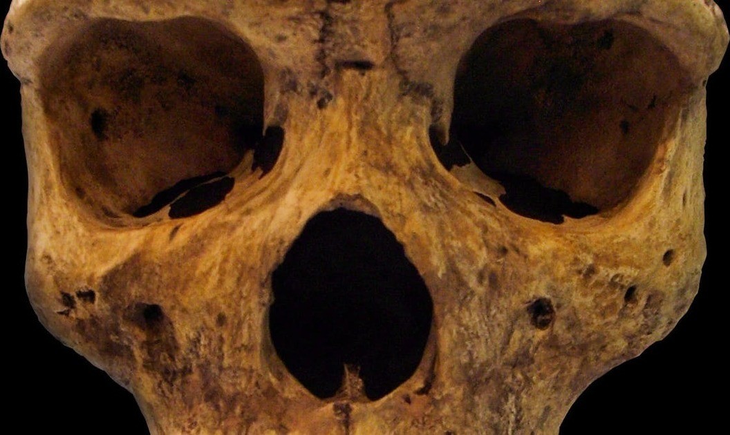 Early humans in Africa may have interbred with a mysterious, extinct species