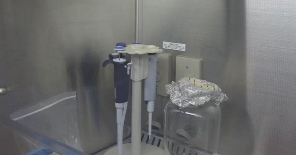 Ghana's medical research institute on the forefront of developing drugs for covid-19