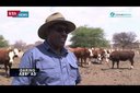 Why Kathurima is shining in beef farming in Botswana