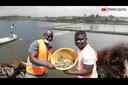 West Africa's Biggest Shrimp Farm (2000 Acres) In Ghana