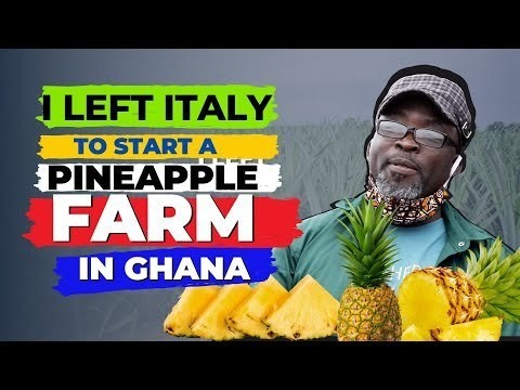 I left ITALY to become a PINEAPPLE FARMER in GHANA