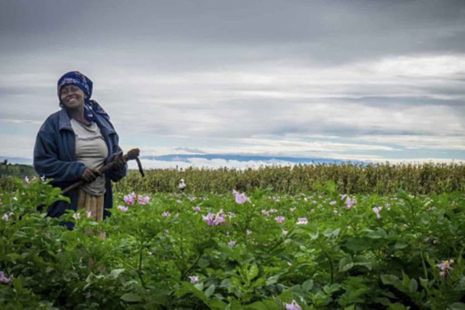 Mwananchi Forum: Tanzania makes steady progress towards goal of gender equality