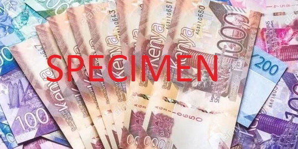 5 Women-Led Companies Awarded Ksh1 Million Each