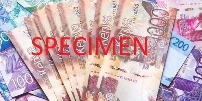 5 Women-Led Companies Awarded Ksh1 Million Each