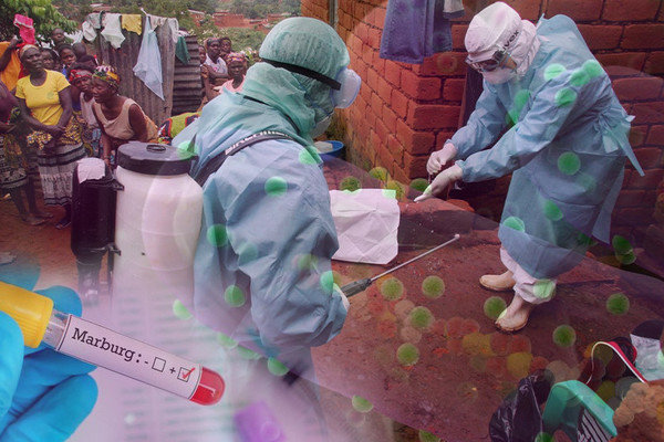 Ghana confirms cases of deadly Marburg virus