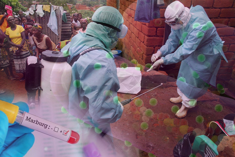 Ghana confirms cases of deadly Marburg virus