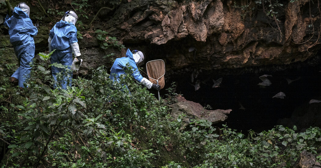 What to Know About the Marburg Virus Disease