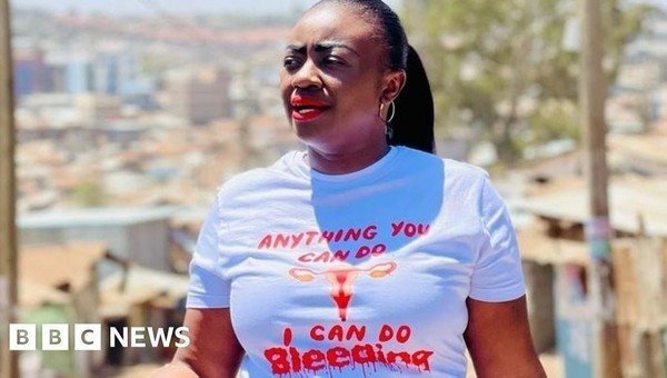 Gloria Orwoba: Kenyan senator asked to leave over 'period stain'