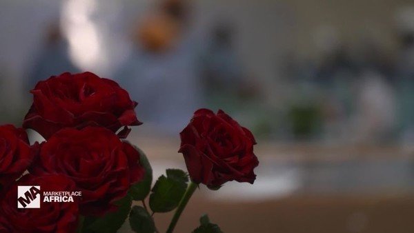 Kenya's $800 million flower market is seeing a boost, thanks to China