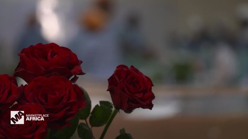 Kenya's $800 million flower market is seeing a boost, thanks to China