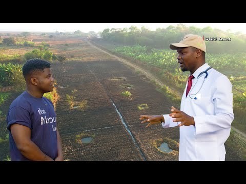 Unemployed Malawian Nurse Sold His $70 Phone & Made $7000 From Farming
