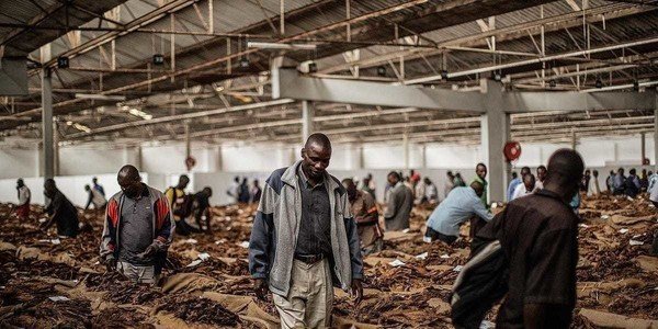 The rich better have Malawi's money