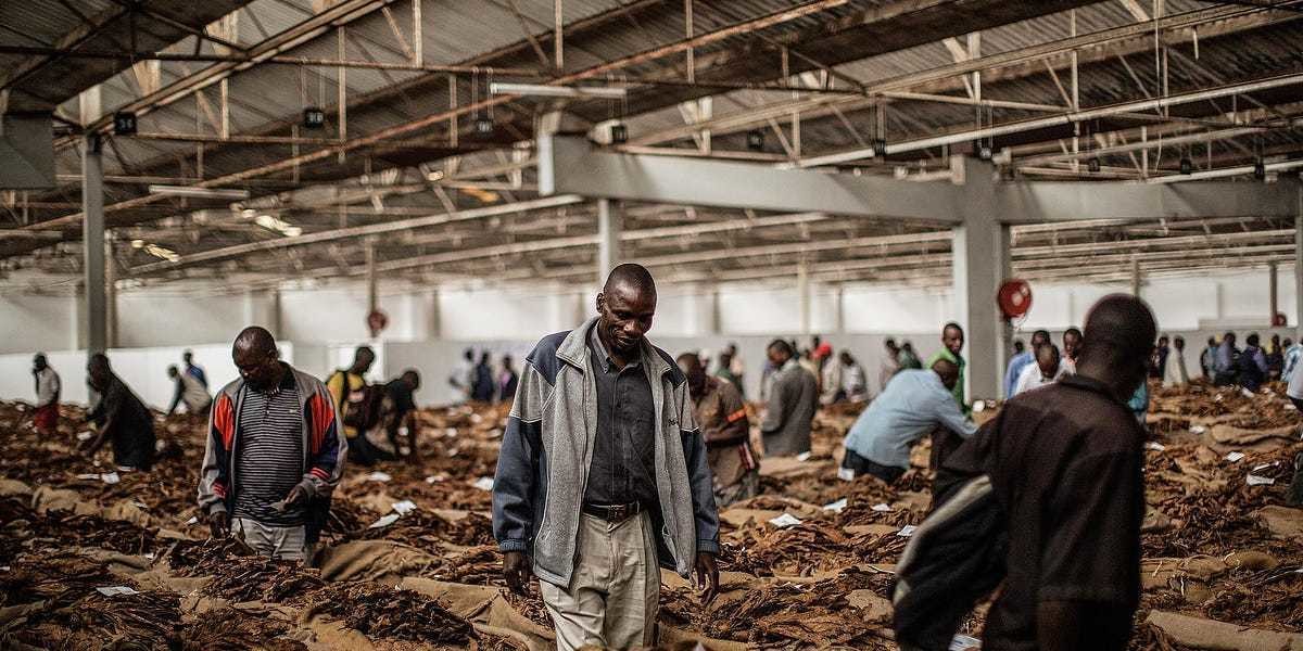 The rich better have Malawi's money