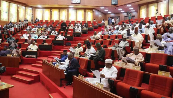 Senate, NUC canvasses creation of more varsities
