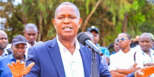 Mwengi Mutuse Makes Bold Move Over IEBC Reconstitution