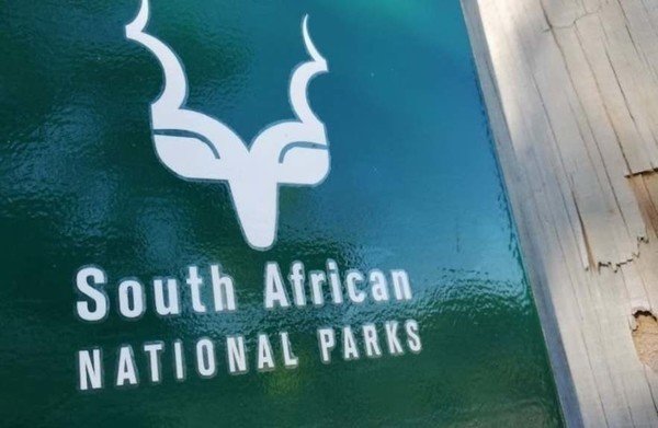 Two suspects arrested as park rangers foil robbery on Signal Hill in Cape Town