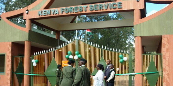 CS Duale Pressured to Fire KFS Board