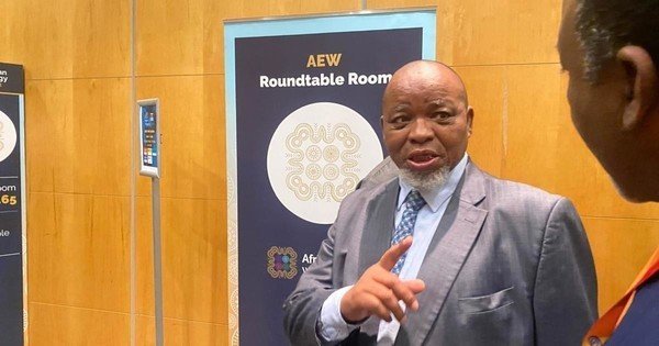 ActionSA slams DMR’s nearly R2m spend on overseas trips