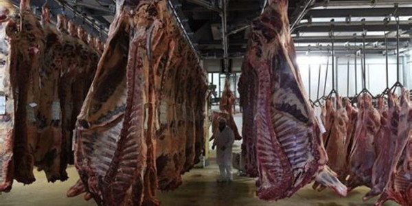 Govt Issues Notice Over Meat Consumption During Festive Season