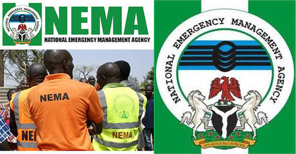 392 Nigerians repatriated from Niger