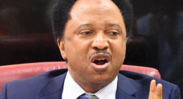 How To Stop Budget Padding — Shehu Sani