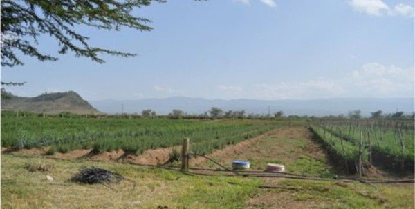 Violence Erupts Over Border Land Dispute