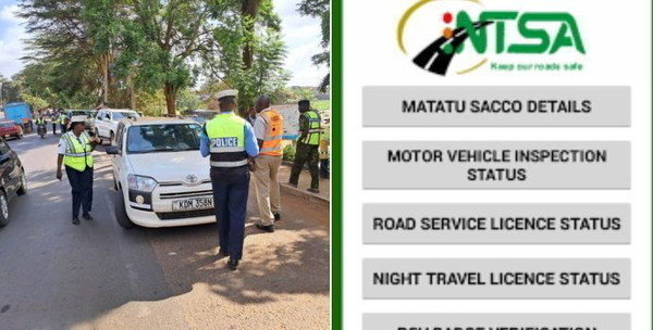 EXPLAINED: How to Verify Any Car Number Plate & Driver's License for Free