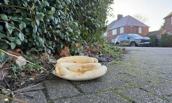 Confusion as mysterious banana 'offering' appear monthly at UK junction