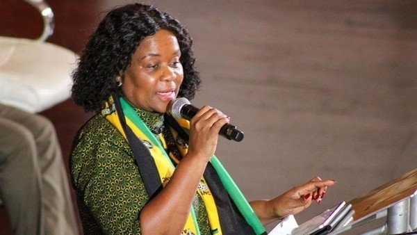 Businesses wary of donating to parties due to disclosure law, Ramokgopa says at sold-out golf day