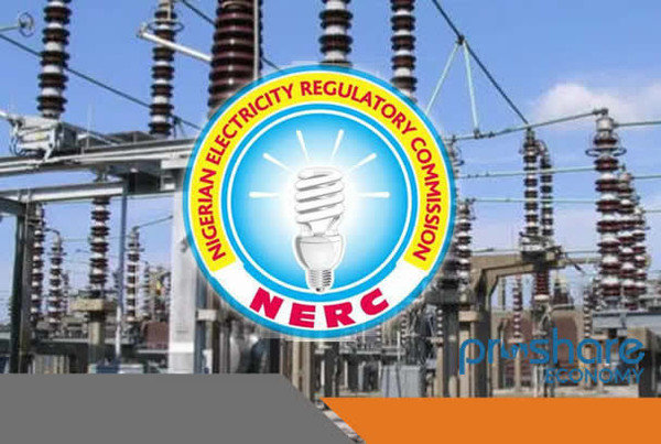 NERC grants Niger power to regulate electricity sector