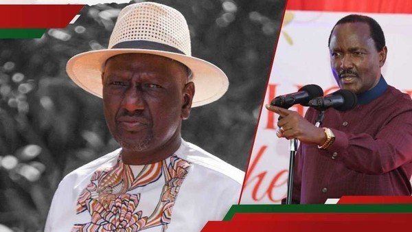 Kalonzo Musyoka claims squad behind forced disappearances is based in Ruaraka: 