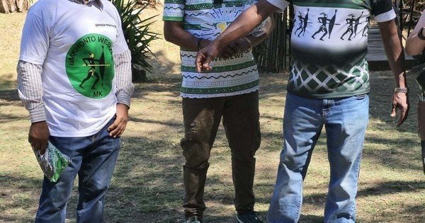 Ex-Bok coach Peter de Villiers joins MK Party