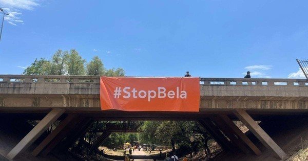 Opposition to BELA Act borders on racism - Basic Education committee's Maimela