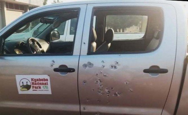 Nkwanta conflict: Kyabobo Wildlife Park vehicle attacked by ...