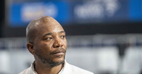 SA has a low university admission rate - BOSA's Maimane