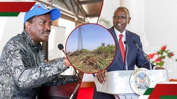 William Ruto hits out at Kalonzo for questioning Mumias sugar bonus: 