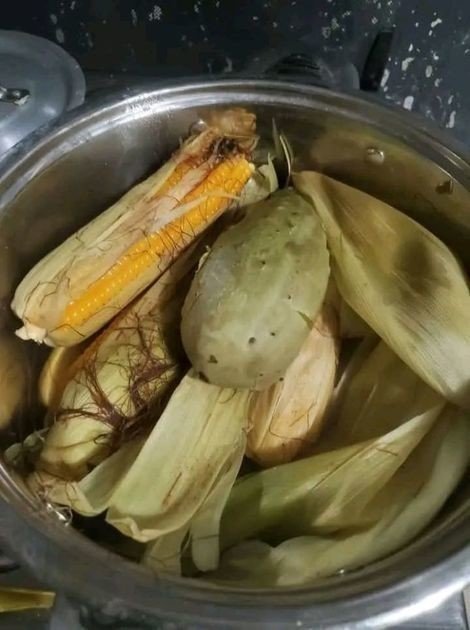 CELEBRATION IN SOUTHERN PROVINCE AS PEOPLE EAT FRESH MAIZE FROM THEIR FIELDS FOR THE FIRST TIME IN TWO YEARS
