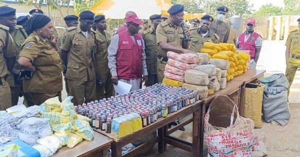 NDLEA seized 537kg drugs, arrested 46 in Yobe
