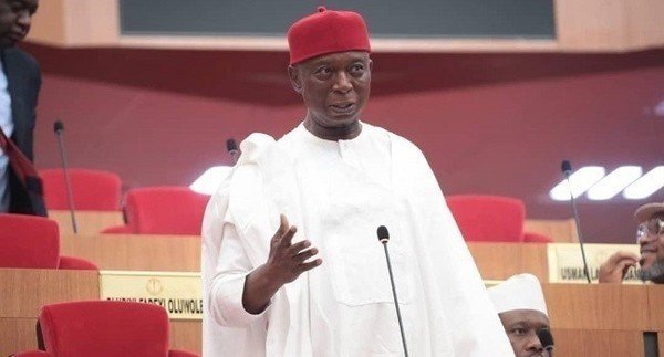 Senate Confirms Ned Nwoko’s Defection To APC