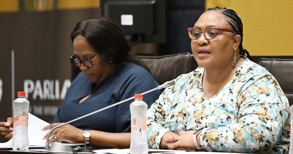 Didiza hopes Ramaphosa addresses poverty when he delivers SONA