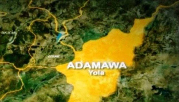 Police arrest three for vandalising transformer cables in Adamawa