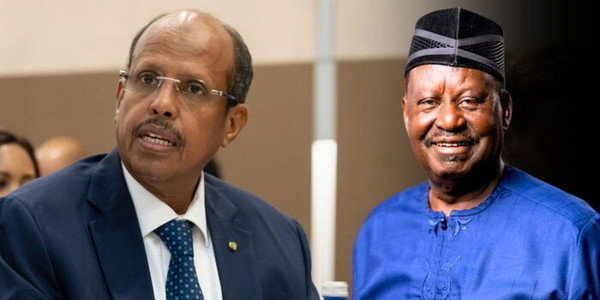 Djibouti’s AUC Candidate Speaks Out on Raila Support Claims