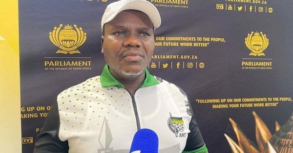 Ntuli rates ANC Parly caucus performance so far in seventh administration a 7/10