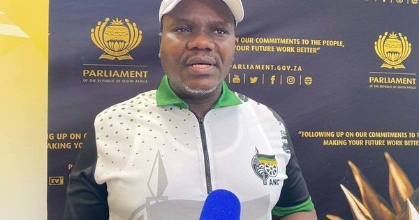 Expropriation Act 'suffices' for govt's immediate aims - ANC's Ntuli