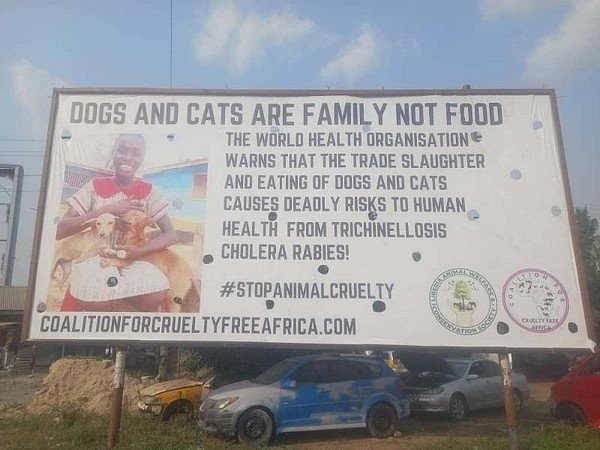 Animal rights group launches global campaign to ban dog and ...