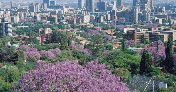 Tshwane investigates conflict of interest involving deputy mayor