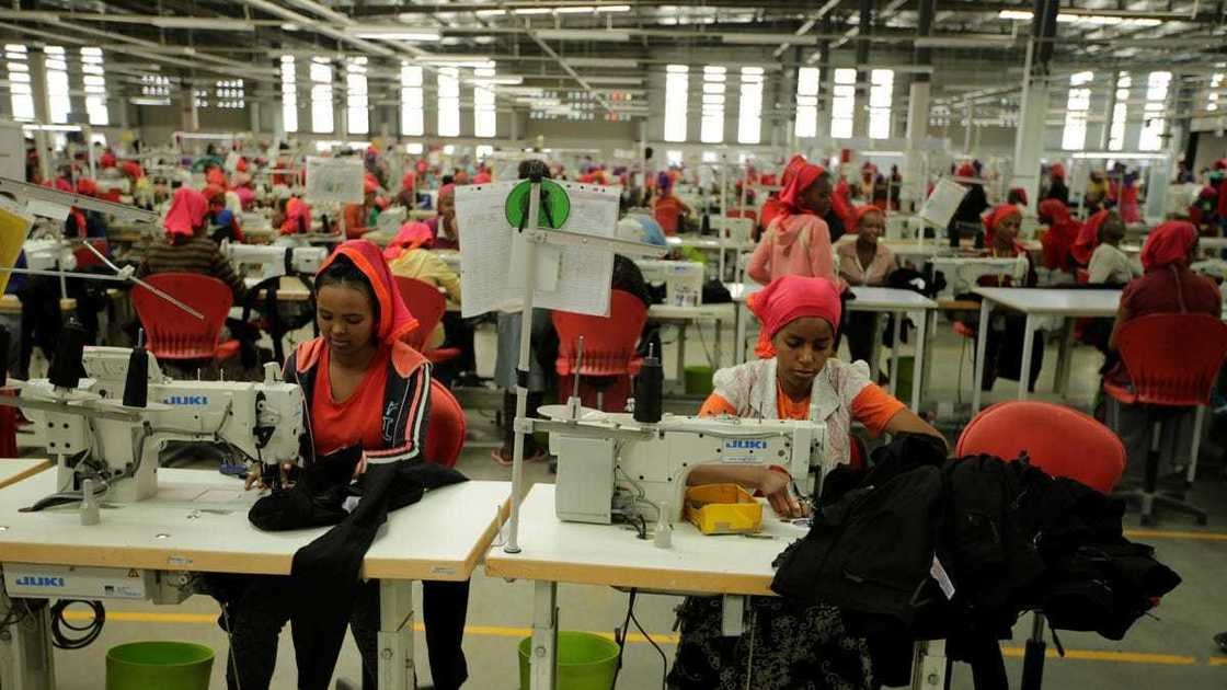 Ethiopia’s garment workers make clothes for Tommy Hilfiger, Gap, H&M and Levi’s but are the world’s lowest paid 
