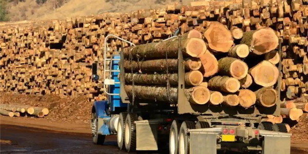 Govt Proposes New Rules for Timber Transporters