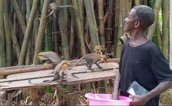 Ghana Month: Caretakers call for investment into Duasidan Mo...